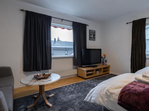 Aurora Dream House Apartment With Free Parking Tromsø Dış mekan fotoğraf
