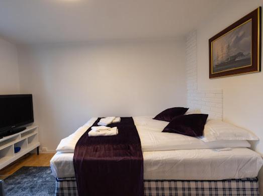 Aurora Dream House Apartment With Free Parking Tromsø Dış mekan fotoğraf