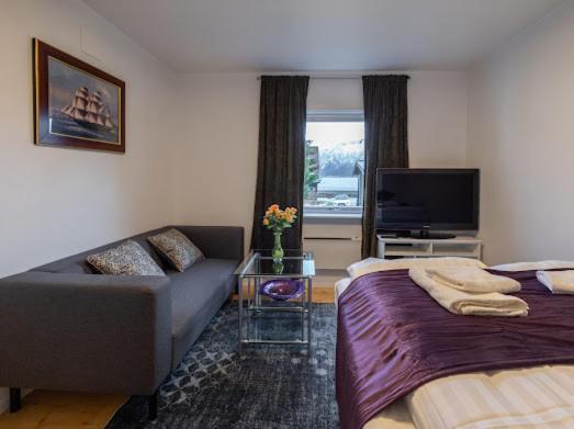 Aurora Dream House Apartment With Free Parking Tromsø Dış mekan fotoğraf